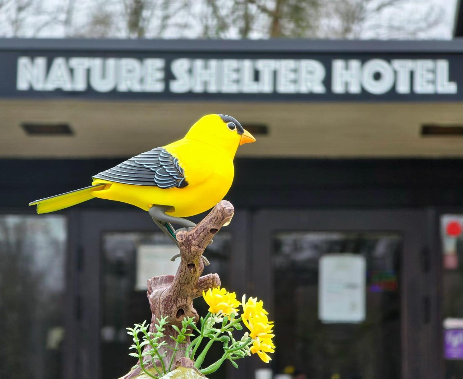 Nature Shelter Hotel Åsljunga Extérieur photo
